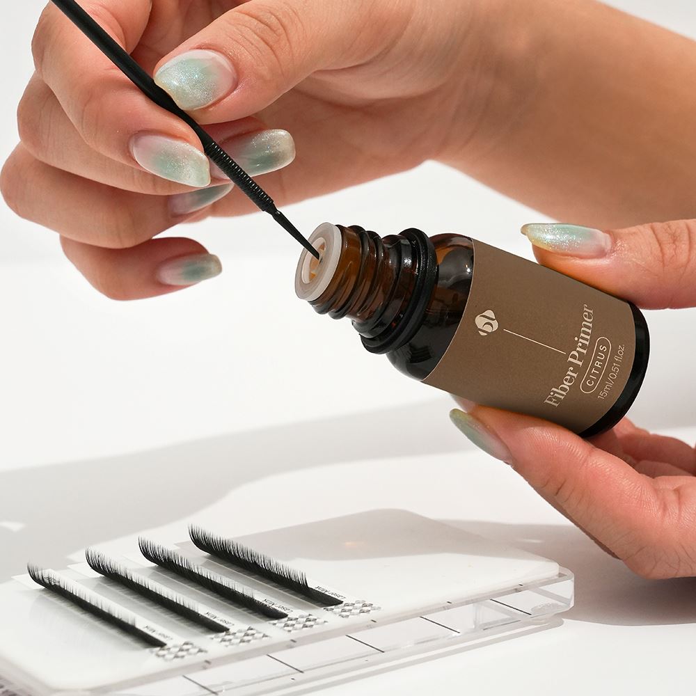 Extension Base (Primer para extensiones)