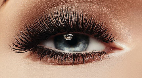 Your guide to Russian Volume Lash Extensions