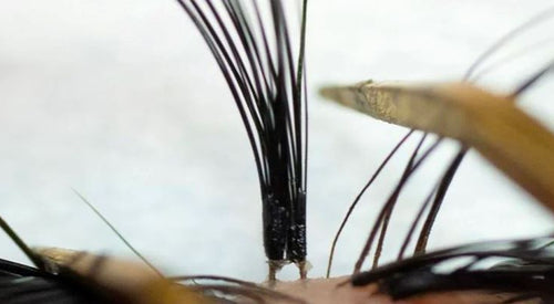 How to prevent the lash stickie