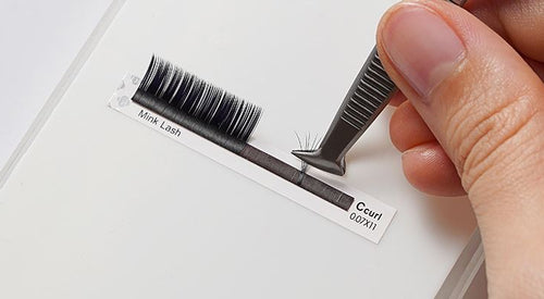 How to make the Perfect Volume Lash Fan