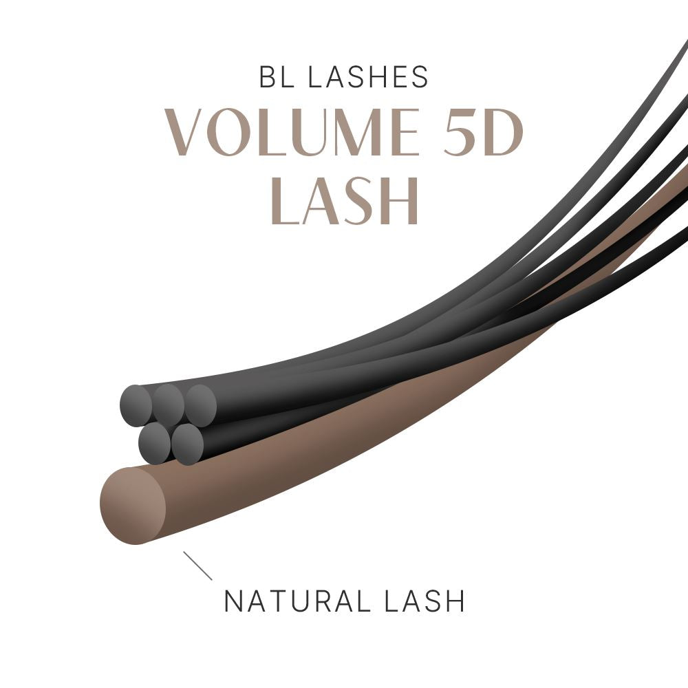 Volume 5D Lash - US Stock